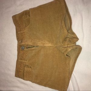 corduroy shorts